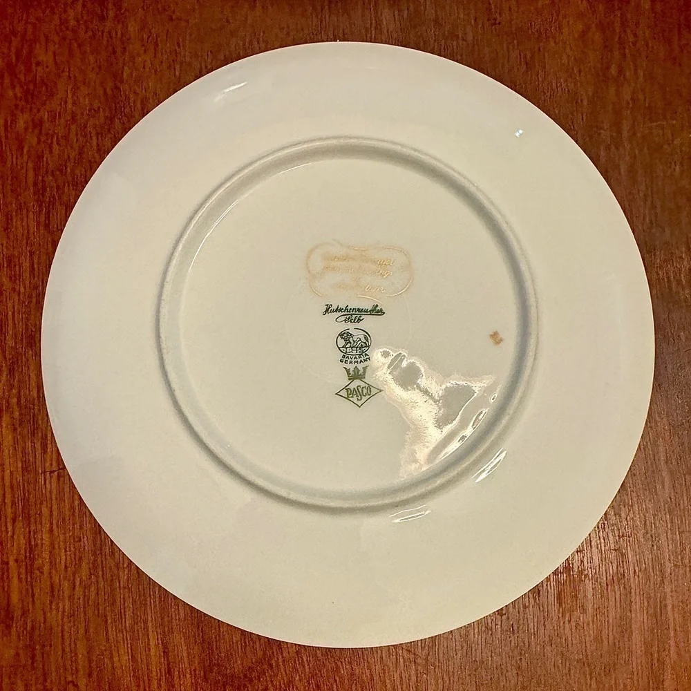 Hutschenreuther Pasco Bone China Audubon Bird Plates (8”)